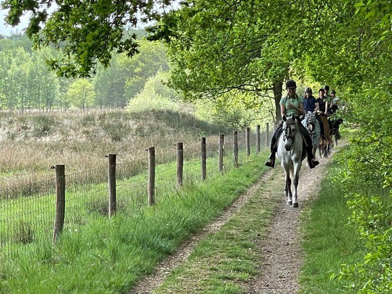 Paardrijden in Gasselte Drenthe